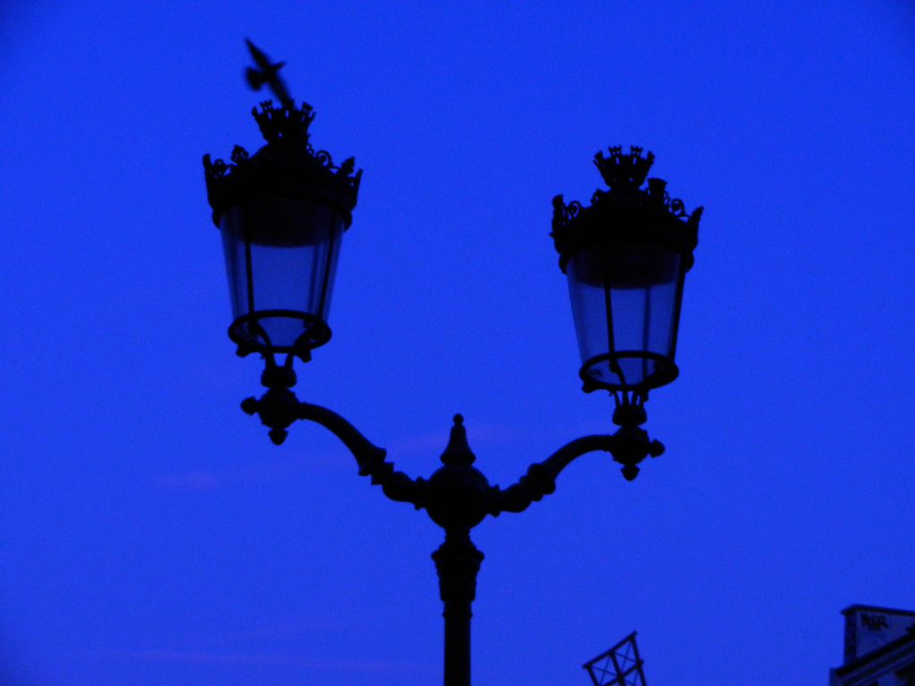 paris/paris-lampposts.jpg