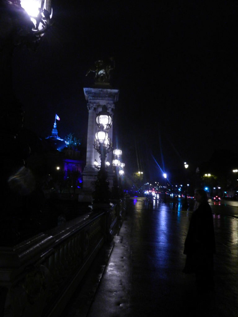 paris/pont-alexander-bridge-at-night-in-the-rain-paris-2.jpg
