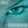 NaNoWriMo LanguageIsAVirus.com